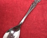 ONEIDA Community Stainless PLANTATION Design Vintage 6&quot; Dessert Spoon Fl... - $11.83