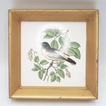 Céramique Tuiles Trépied Baltimore Oriole Oiseau Botanica Carré Suspendu... - £40.05 GBP