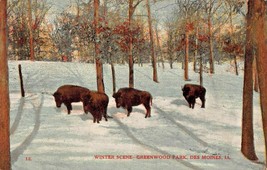 Des Moines ~ Buffalo Greenwood Park-Winter Scene ~1908 Mendsen Publ Postcard-... - £7.60 GBP