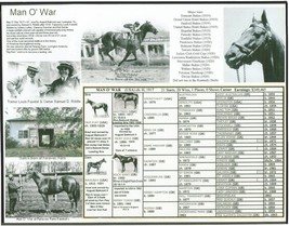 1919 - MAN O&#39; WAR - Picture Pedigree Photo - 10&quot; x 8&quot; - £15.80 GBP