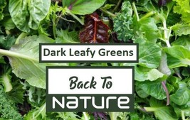 Dark Leafy Greens Microgreen Seed Blend - Organic &amp; Non Gmo Microgreen S... - £2.83 GBP