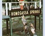 Alligatore Laguna Homosassa Molle Florida Fl Unp Cromo Cartolina M16 - $5.08