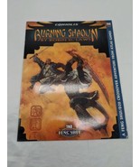 Burning Shaolin D20 System Feng Shui Action Movie Roleplaying Game RPG B... - $10.69