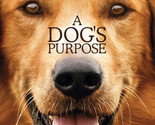 A Dogs Purpose DVD | Region 4 - $11.73