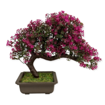 Dark Red Apple Flowering Plant Bonsai Tree 10 PCS Seeds - $9.28