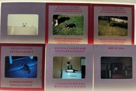 Item image 10