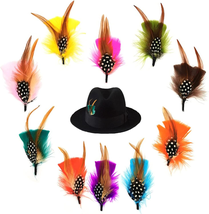 Hat Feather Assorted Natural Feather Men Women Hats Crafts Art DIY Colorful Hair - £11.03 GBP