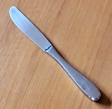 Villeroy &amp; Boch Sereno Dinner Knife 18/10 Stainless Plain Pointed Tip Fl... - $10.84