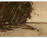 Coconut Palms Mayaro Beach Postcard Trinidad BWI - $17.82