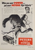 1954 Print Ad Peters Power 22 Long Rifle Ammo Raccoon in Tree Bridgeport,CT - $20.68