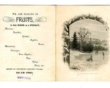 1884 Candy Fruit Syrup Soda Water &amp; Fruit Ad Card Elm Street Dallas Texas  - £31.66 GBP