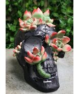 Day of The Dead Flora And Fauna Black Skull With Budding Succulents Figu... - €31,76 EUR