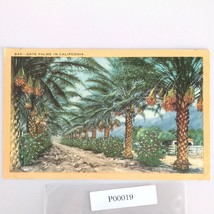 Vintage 1952 Linen Postcard Date Palms in California Agriculture Santa M... - $14.92