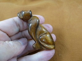 Y-CHE-722) Golden brown tiger&#39;s eye CHEETAH gemstone I love wild CATS ca... - $34.21 CAD