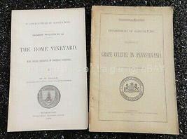 Lot 1902 And 1912 Antique Home Vineyard And Grape Culture Pa Books Bulletins [Ha - £117.91 GBP