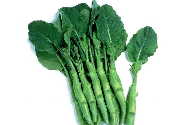 1000 Big Stem Chinese Broccoli Seeds Non-GMO - $7.00