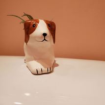 Dog with Air Plant, Airplant in Puppy Plant Pot, Air Plant Animal Planter image 3