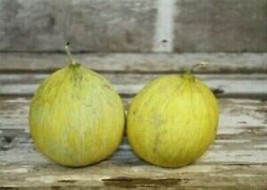 Golden Beauty Casaba Honeymelon - Melon - 5+ seeds - Cm 028 - £1.55 GBP