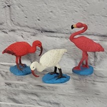 Safari Ltd Bird Figures Tropical Exotic Lifelike Flamingo Ibis Lot Of 3 ... - £7.65 GBP