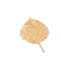 Gold Dipped Small Aspen Leaf Pin Brooch 1 Inch Diameter - $14.99