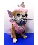 NEW Halloween Bulldog Fairy Princess Ballerina English Bulldog Humane So... - $65.09