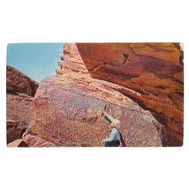 Postcard Arizona Petrified Forest National Monument Petroglyphs Union Oil No 23 - £7.85 GBP