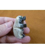 Y-DOG-HO-ST-13) white gray HOUND DOG hunting stone carving SOAPSTONE I l... - €7,67 EUR