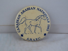 Vintage Horse Pin - Canadian Arabians Nationals 1983 - Celluloid Pin  - $15.00