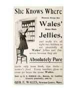 Wales Jelly Preserves 1897 Advertisement Victorian Massachusetts ADBN1A9 - €17,00 EUR