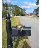 Turtle Mailbox Topper - Rich Expresso - $38.00