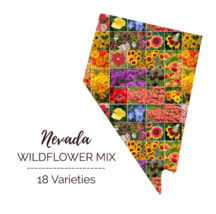 Wildflower NEVADA State Flower Mix Perennials Annuals USA NonGMO 1000 Seeds - £7.48 GBP