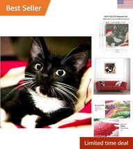 DIY 5D Diamond Art Kits, Black Cat Diamond Art Full Diamond Art Kits for... - $19.95