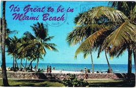 Florida Postcard Miami Beach Golden Sands Palms - £2.32 GBP