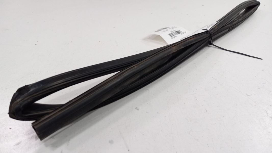 Lexus ES330 Door Glass Window Seal Rubber Left Rear Back 2004 2005 2006 - $49.79