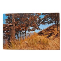 Postcard Greetings From Michigan City Indiana Dunes Of Lake Michigan Chrome - $6.98