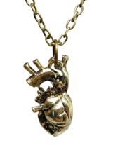 Heart Necklace Pendant Anatomical 3d Biology Statement Bronze Tone Jewellery - £3.99 GBP