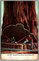 Lumberjacks in Giant REdwood Wonderful California CA PNC DB Postcard J1 - £10.17 GBP
