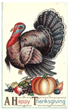 A Happy Thanksgiving Pumpkin Fruit Postcard Turkey - £5.49 GBP