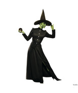 Classic witch adult large - €87,41 EUR