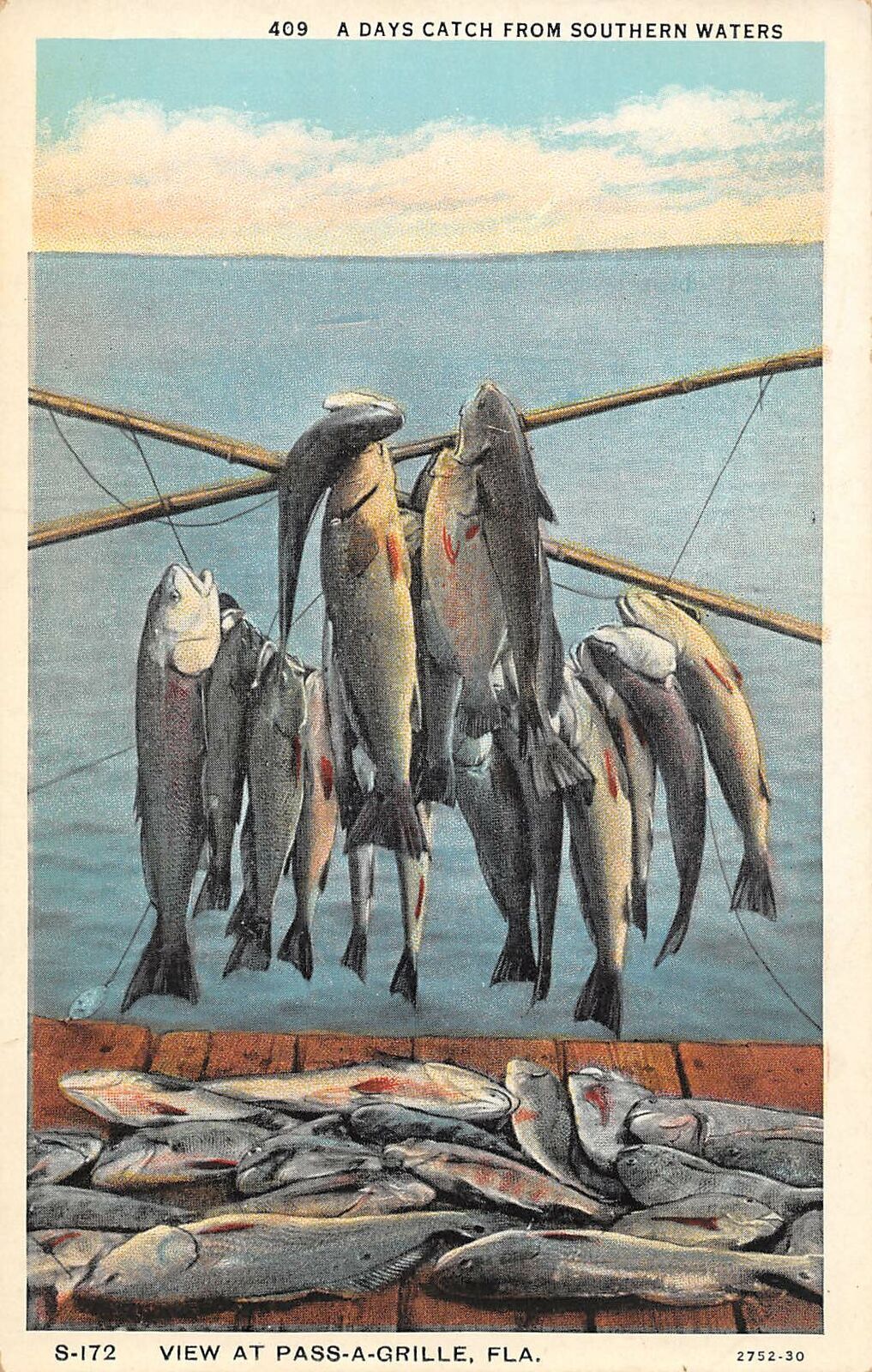 Fish 1925 A Day's Fish Catch Fishing Passe A Grille Florida 1920s postcard ...