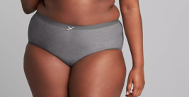 Lane Bryant Cacique Silky No Show Full Brief Panty Gray Grey Plus Sz 34/36 Nw - $15.35