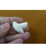 (s4-170) 1-3/16&quot; White TIGER SHARK T**TH pendant You Pick Silver or Gold... - $27.10