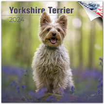 Yorkshire Terrier Wall Calendar 2024 Animal Dog Pet Lover Gift - £19.77 GBP