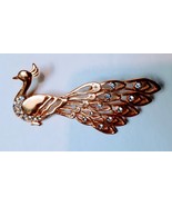 Bird of Paradise brooch pin - €25,63 EUR