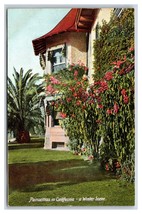 Poinsettias in Winter Flowers State View California CA UNP DB Postcard D19 - £3.87 GBP