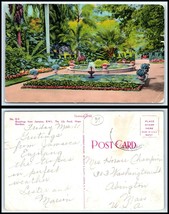 JAMAICA Postcard - Hope Gardens, The Lily Pond N24 - £2.31 GBP