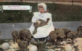 Baby Ostriches Just Out of the Shell Small Girl California 1910c postcard - $6.44