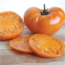 50 Seeds Kellogg s Breakfast Tomato Heirloom Vegetable Tomatoe Garden - £5.38 GBP