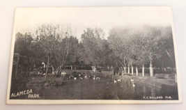 Alameda Park (Alamogordo Nm New Mexico) 1910 Antique [Rppc Real Photo] Post Card - £17.97 GBP