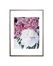 Original Watercolor Peonies flowers 15.6 x 19.5&quot; Designer Home Decor Bot... - £171.64 GBP